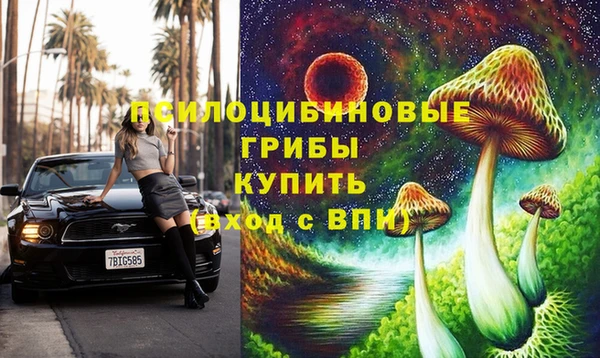 прущий лед Алзамай