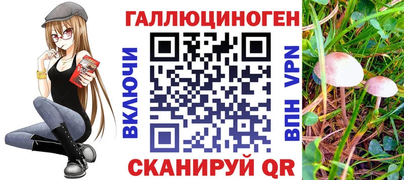 где купить наркоту  Ардон  Галлюциногенные грибы мицелий 